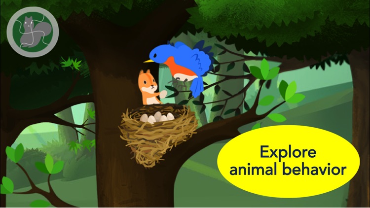 Piiig Forest Explorer: Natural Science for Kids screenshot-0