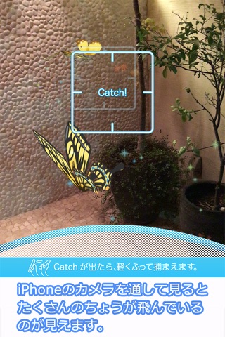 iButterfly screenshot 2