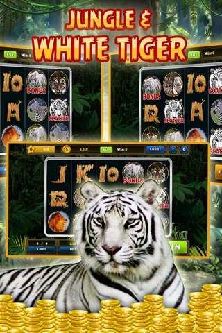 Jungle King's & White Tiger Slots: Free 5-Reel Slot Bonanza Machines Of Treasure Casino screenshot 2