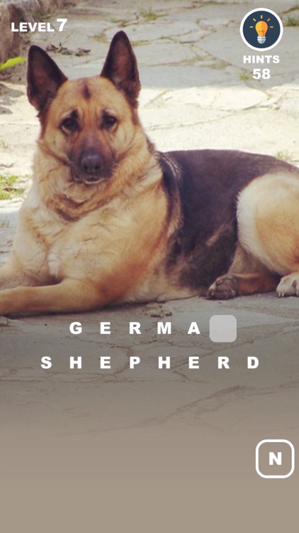 Dog Genius – photo trivia with puppies in makeup screenshot-3