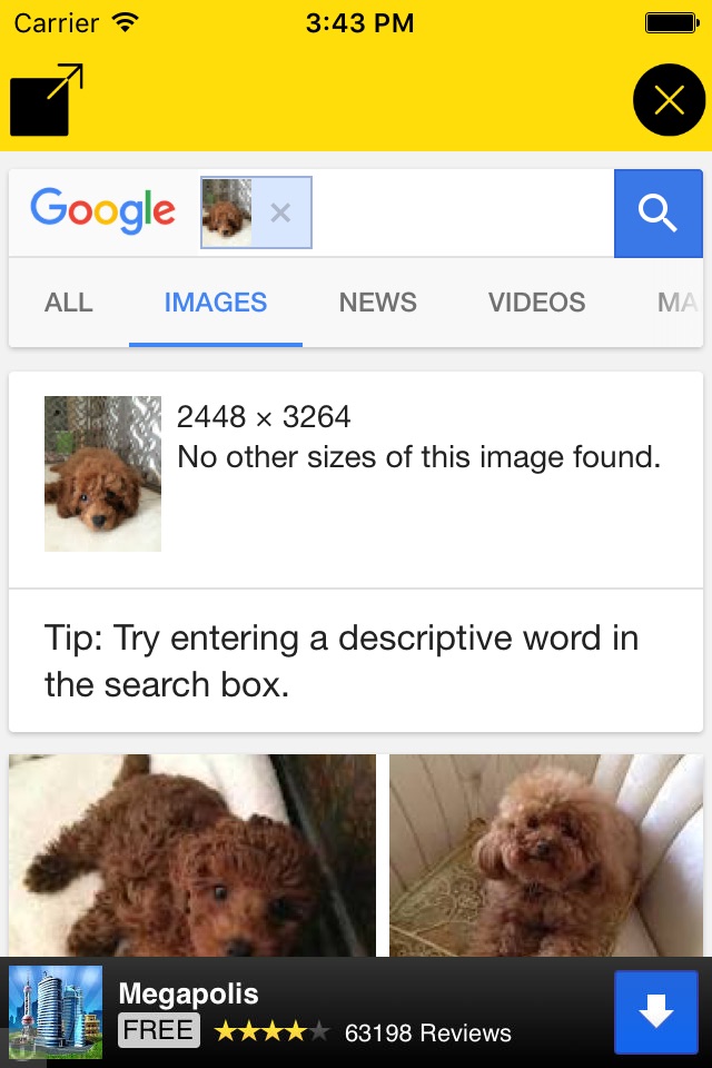 Search By Image !! screenshot 2