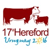 Hereford Uruguay 2016