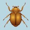 Ladybug Lalim