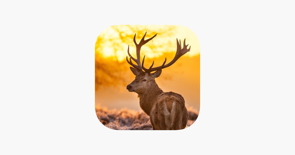 ‎Whitetail Hunting Calls! on the App Store