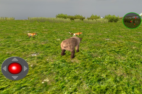 Angry Bear 3D Simulator  - Wild Bears Jungle Attack Survival Game screenshot 3