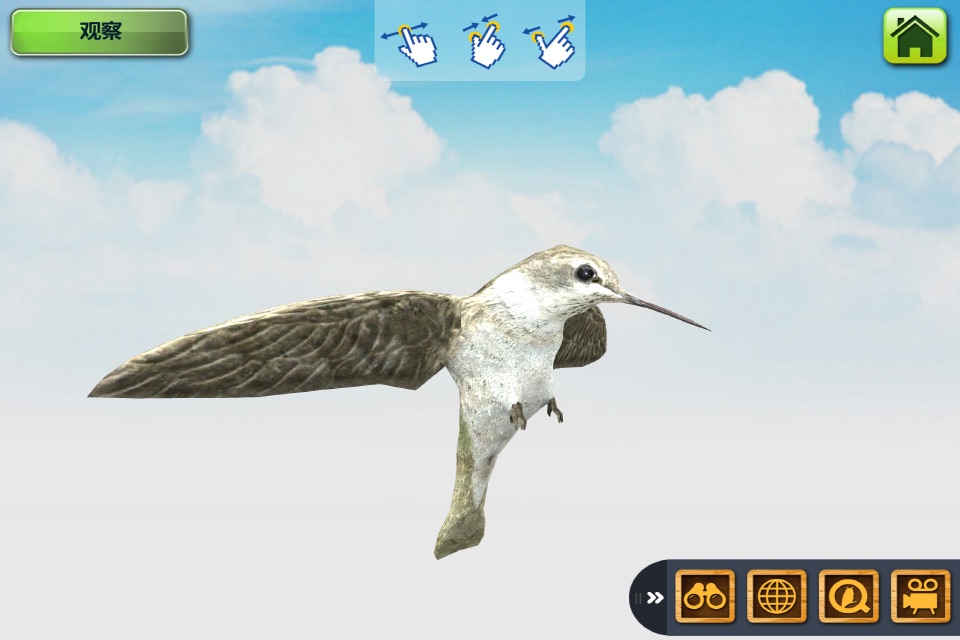MY BIRD - Augmented Reality screenshot 3