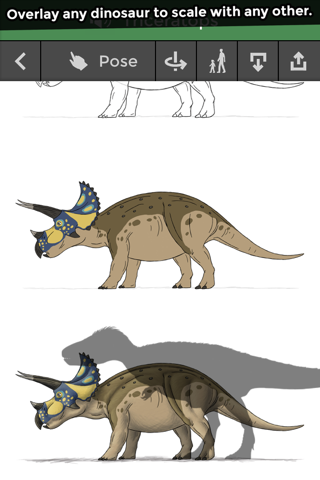 Pose & Draw Dinosaurs screenshot 3