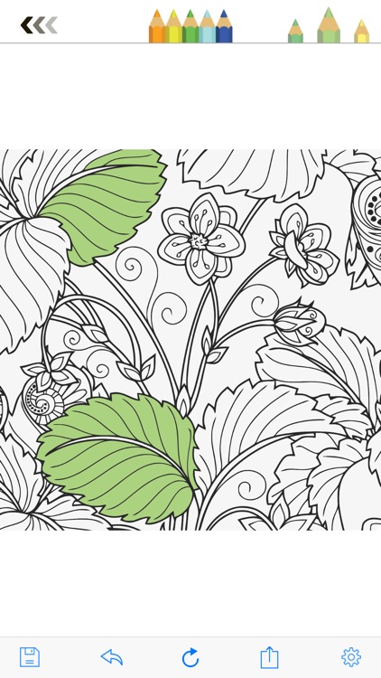 Colorty: Best Coloring Book for Adults