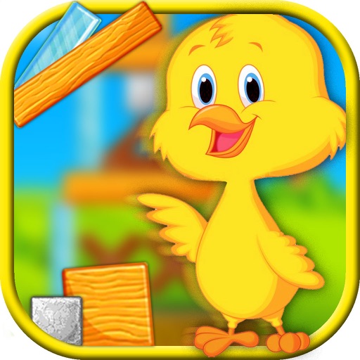 Save the Chicken - Brain Challenge Game Icon