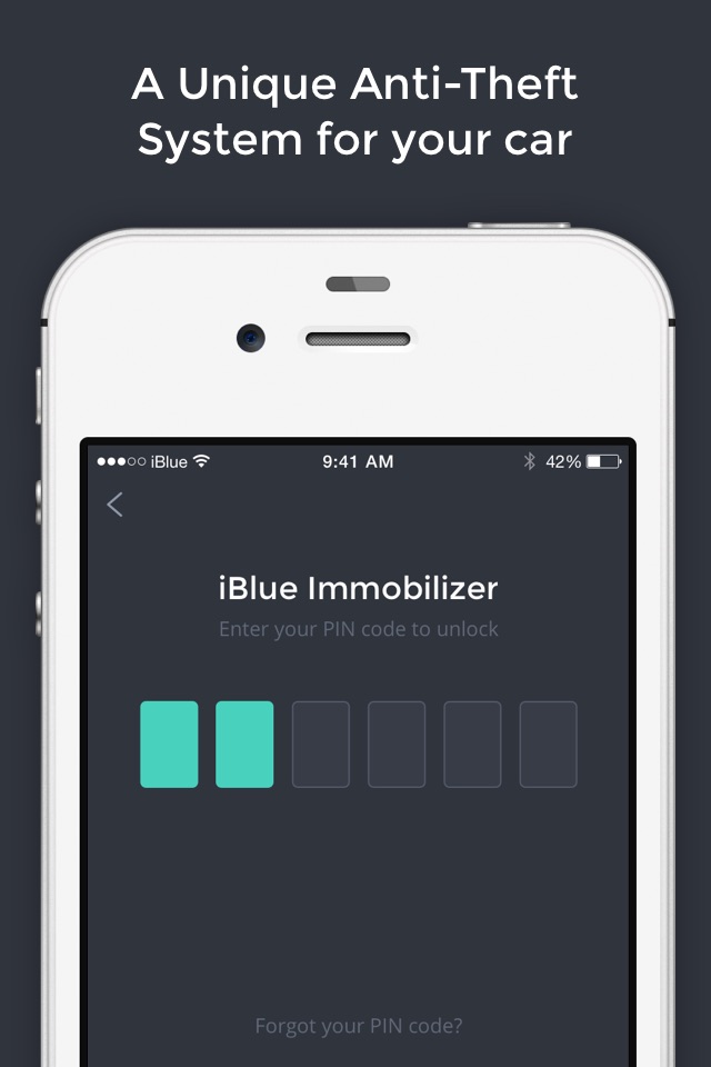 iBlue Immobilizer screenshot 2