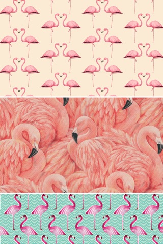 Flamingo Pattern Wallpapers - Best Collections Of Flamingo Design Pattern screenshot 3