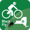 Black Fly Challenge