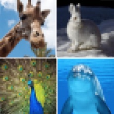 Activities of Guess Mosaic Animals