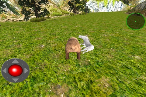 Angry Bear 3D Simulator  - Wild Bears Jungle Attack Survival Game screenshot 2