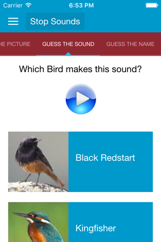 Spanish Birds Sounds screenshot 4