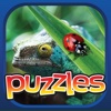 Bugs & Reptiles Puzzle Premium