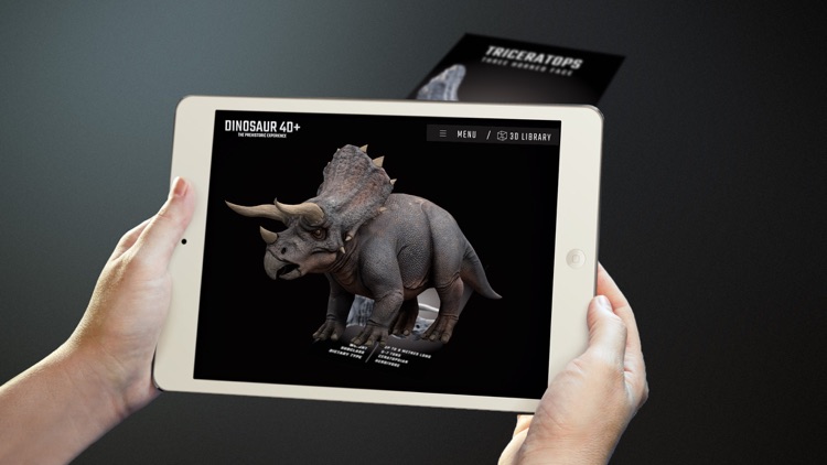 Dinosaur 4D+