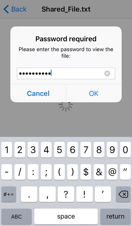 SecureDoc File Viewer