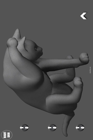 Cat Pose Tool 3D screenshot 3