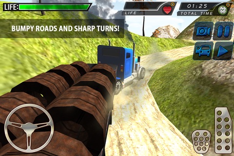 American Cargo Truck Driver Hill Climbing Simulator screenshot 3
