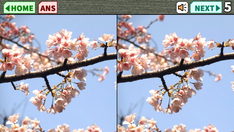 Spot the Difference2016