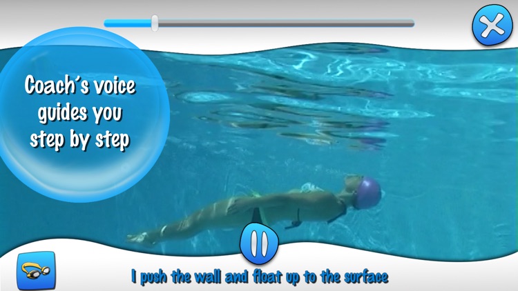 Easy Swimmer - Dolphin
