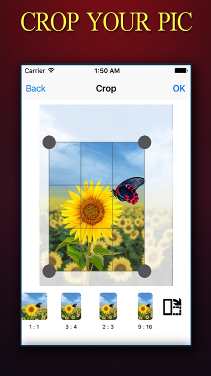 PHOTO CROP ++  Photo Crop Editor With Extra Tools