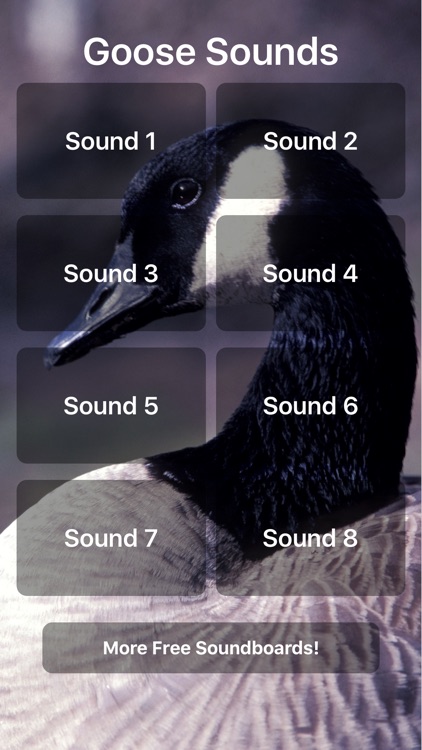 Goose Sounds