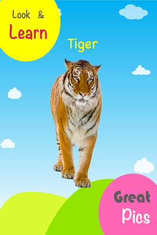 Smartkins Animals Fun Learning Educational Flashcards With Interactive Recording Feature & More for Kids screenshot 3