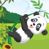 Mr Panda Bear Pop And Hop