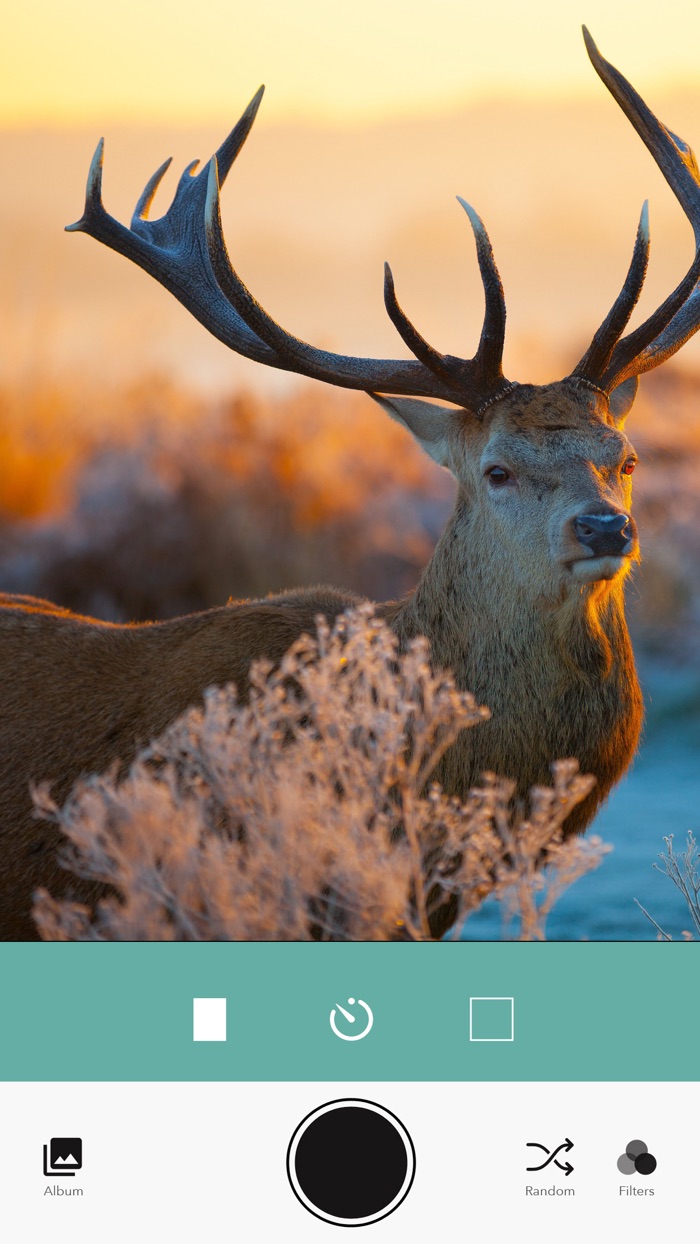 LunaPic Photo Editor