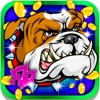 Super Happy Slots: Take your favourite puppy to a dog paradise and win double bonuses