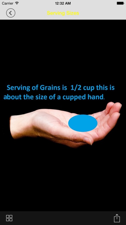 CheckMyPlate! Portion control