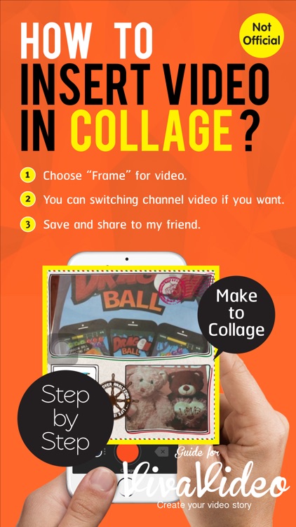 Guide for Viva Video Editor