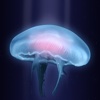 Glow PRO - Full Underwater Jellyfish Version