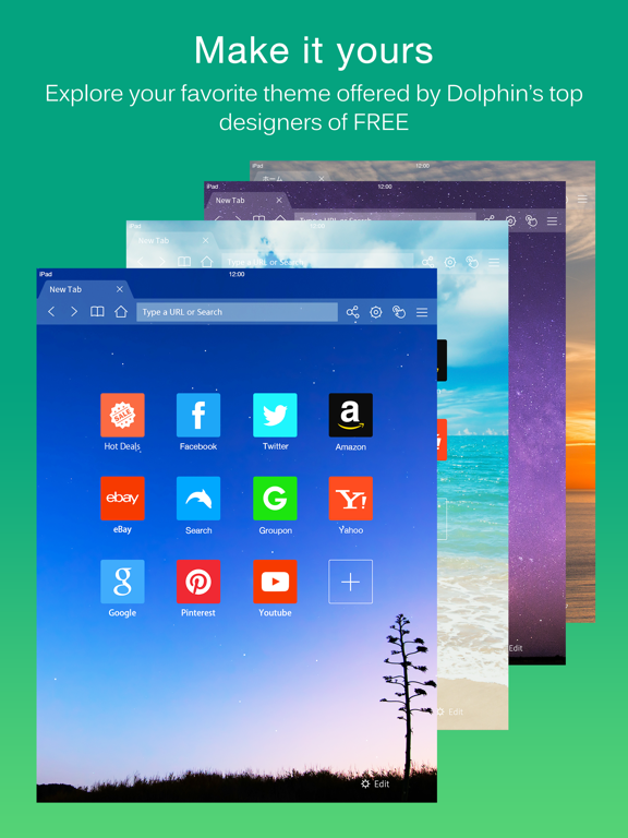 Dolphin Browser for iPad screenshot