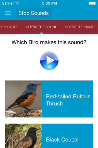 African Birds Sounds screenshot 4