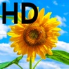 Travel The World With HD Photos for iPad