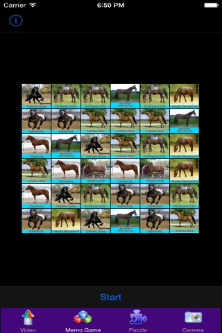 Learn English Via Names of Horse & Little Pony Games for Kids screenshot 3