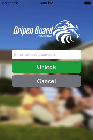 Gripen Guard screenshot 3