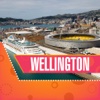 Wellington Travel Guide