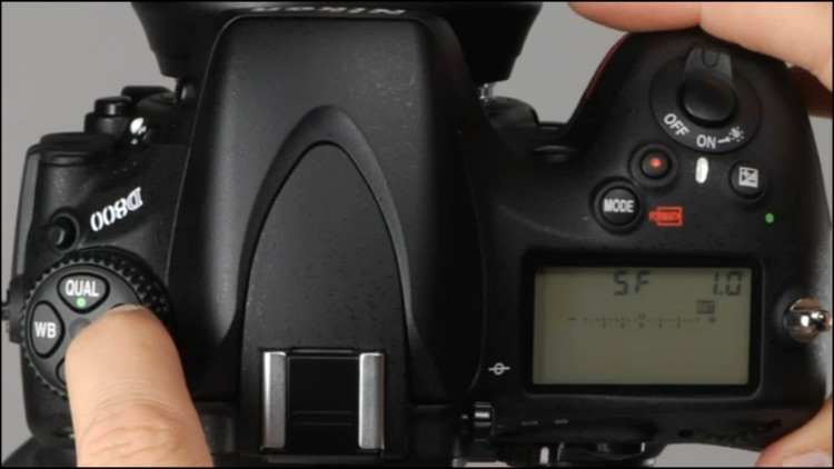 Nikon D800 Beyond the Basics from QuickPro HD
