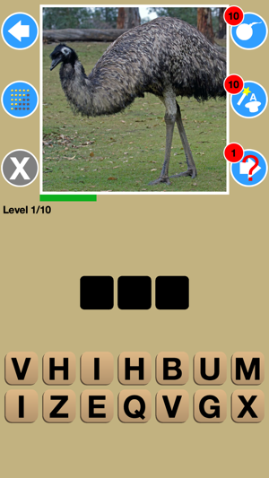 Big Bird Watchers Quiz Maestro: Ornithology Watching Word Tr(圖5)-速報App