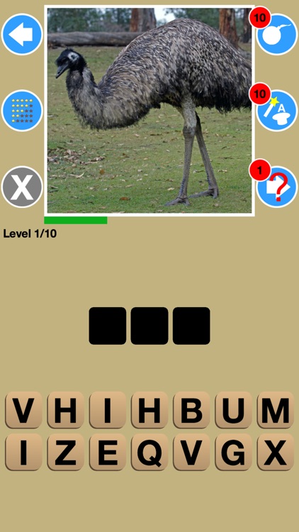 Big Bird Watchers Quiz Maestro: Ornithology Watching Word Trivia screenshot-4