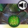 Get Islamic SoundBoard for iOS, iPhone, iPad Aso Report