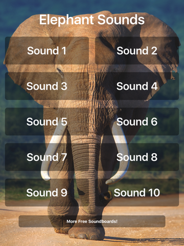 Elephant Sounds! - náhled