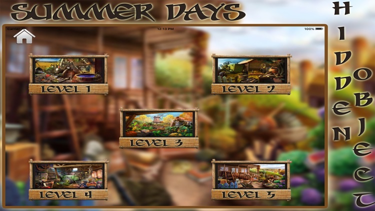 Summer Days Hidden Object