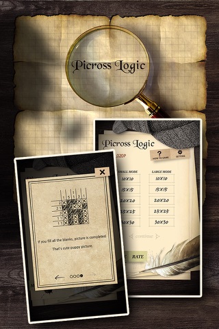 Picross Logic ( Nonogram ) screenshot 3