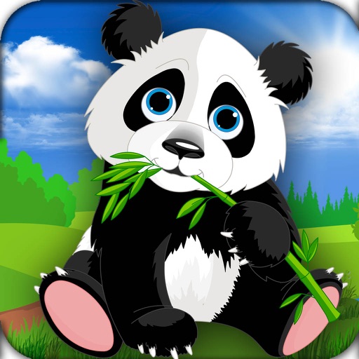 Crazy Panda Fun Challenge 2016 Icon