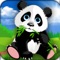 Crazy Panda Fun Challenge 2016
